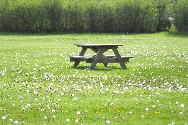 Btsキャラクターbt21ミニスリングバックが発売 価格 購入方法や発売期間はいつからいつまで Love Life